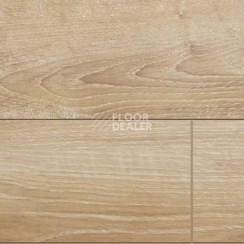 Ламинат Alsafloor Solid Plus ДУБ КАНАРСКИЙ 621 фото 1 | FLOORDEALER